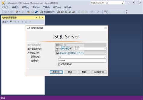 SQL Server Connect 的图像结果
