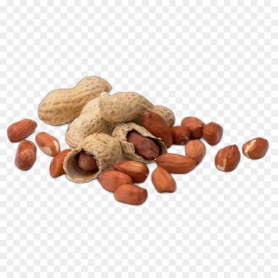 Groundnut Png Image - Pngsource