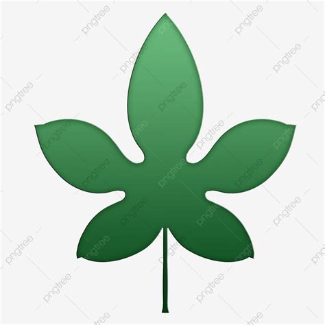 Single Leaf White Transparent, Tropical Plant Five Leaf Leaf Single ...