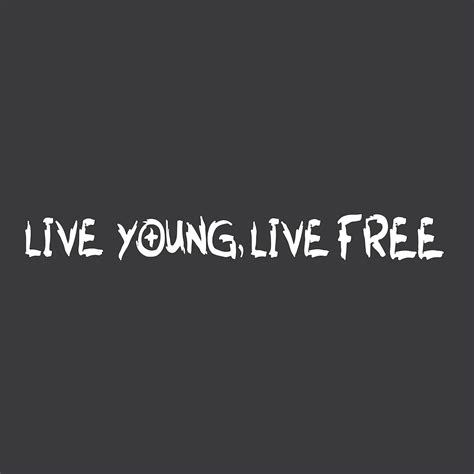 ISEE 360 4X4 Stickers Live Young Live Free Decals Self-Adhesive For Car ...