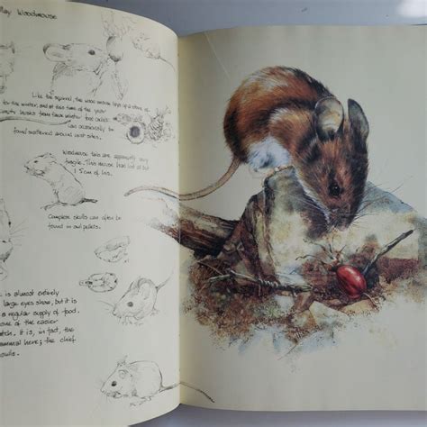 The Undercliff by Elaine Franks, John Fowles