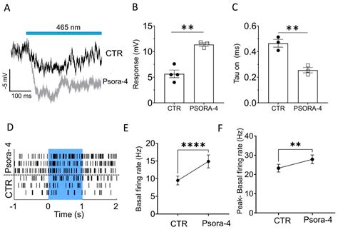 Selective Block of Upregulated Kv1.3 Potassium Channels in ON-Bipolar ...
