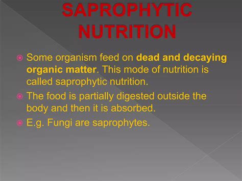 Life Process Class 10 CBSE 的图像结果
