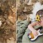 Image result for Outdoor Baby Photography