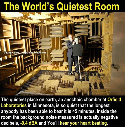 What Is The Quietest Room In The World