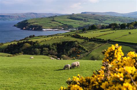 March on the island of Ireland | Ireland.com