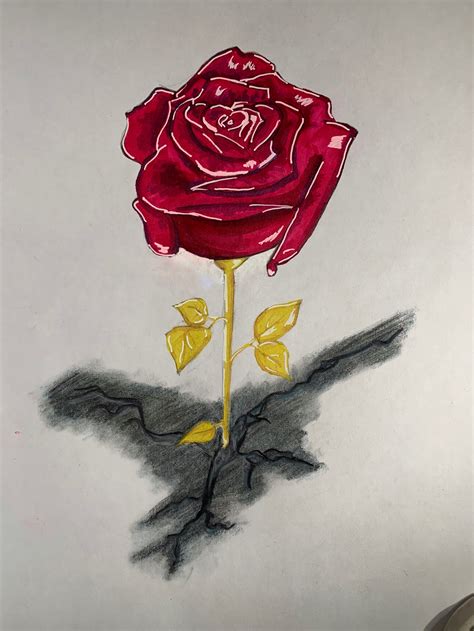 The Rose That Grew From Concrete Book Pages