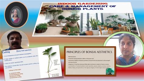 Sponsored Internship (Online) Training Programme in Horticulture ...