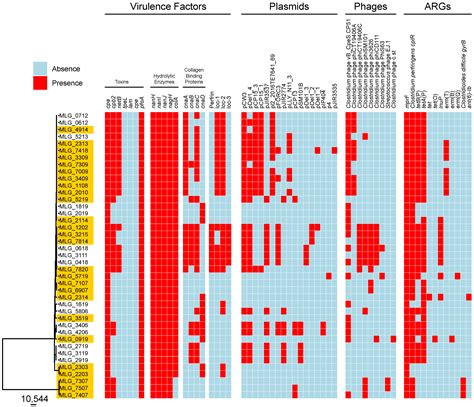 Genomic Diversity and Virulence Factors of Clostridium perfringens ...