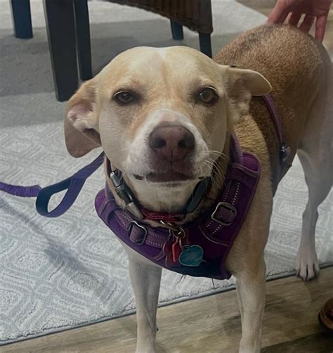 Carpet Plus | Charlottesville VA