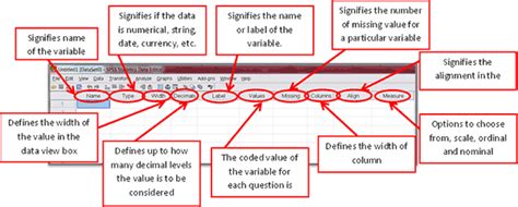 Importing data and creating datasheet in SPSS