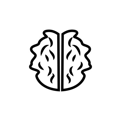 Brain Vector 的图像结果