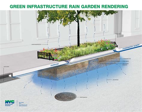 Rain Garden Design