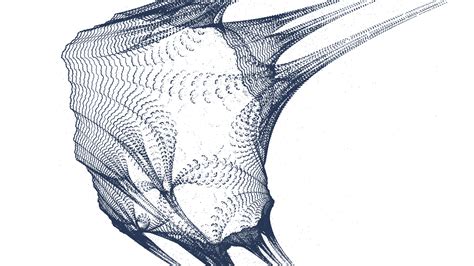 Code Algorithm Art 的图像结果