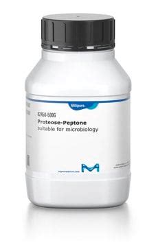 Peptone special suitable for microbiology | 91079-38-8