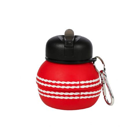 Cricket Water Bottle | Adjustable & Collapsible | Hangable | Cool Cric ...