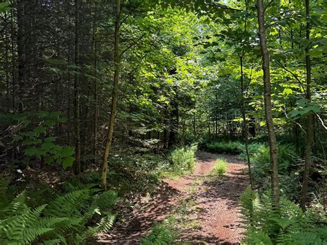 FARMHOUSE SNOWMOBILING AND UTVS (2025) All You Need to Know BEFORE You ...