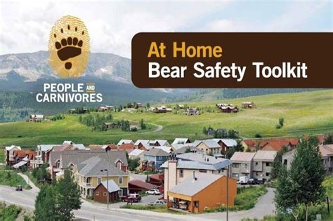 Image result for Bear Program