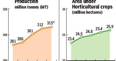 Twenty22-India on the move: Horticulture output pegged at record 314.67 ...
