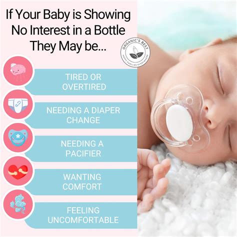 Key Signs Baby Is Hungry: What to Look For Hunger Cues