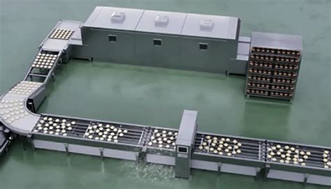 Case Studies and Proposals of Motor Installations for Food ...
