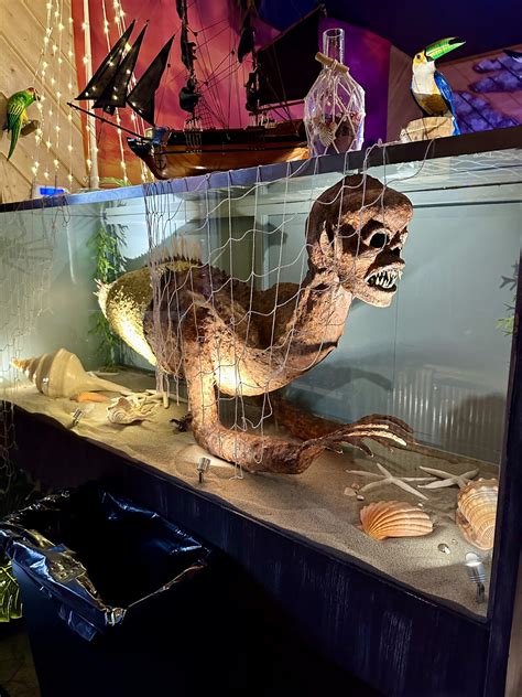 Shipwrecked Tiki Bar Offers Pirate Vibe to College Audience in Davis ...