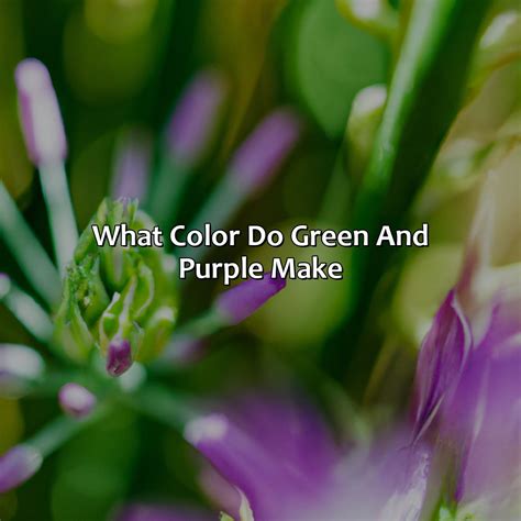 Green And Purple Make What Color - colorscombo.com