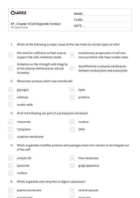 50+ plant parts and their functions worksheets for 11th Class on ...