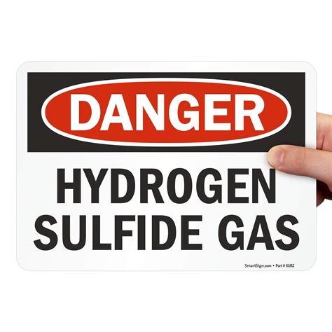 SmartSign "Danger - Hydrogen Sulfide Gas" Label | 7" x 10" Laminated ...