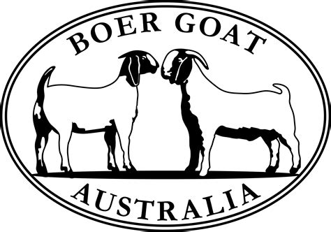Boer Goats