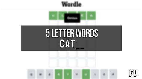 5 Letter Words Starting with CAT - Wordle Hint - Gamer Journalist
