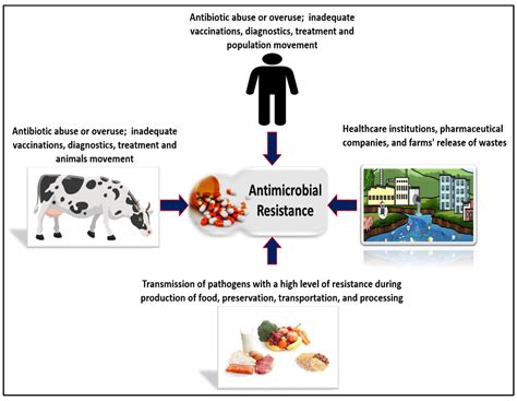 The Development of Technology to Prevent, Diagnose, and Manage Antimicrobial Resistance in ...