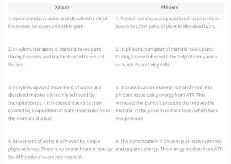 What are the differences between the transport of materials in xylem ...