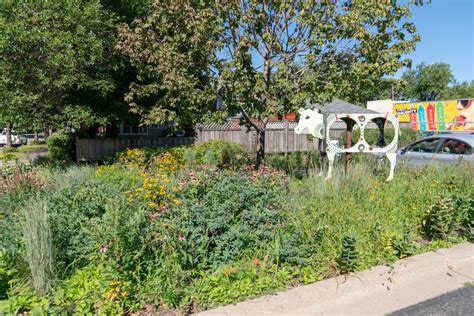 Sentyrz Market | Flickr