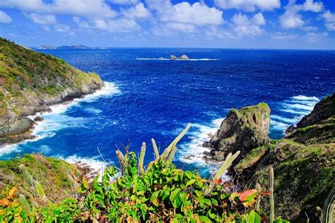 Loyaltrini - Best photos on dibujosparaimprimir.net