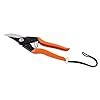 FALCON Garden Tools Pruning Secateur Major (Size 225mm, for ...
