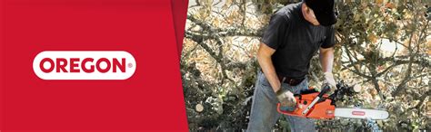 Image result for Oregon File Guide Use