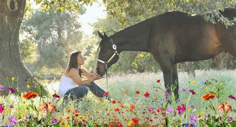 Somatic Equine Experience - Planting Seeds of Change, 5 McCarthy Rd ...