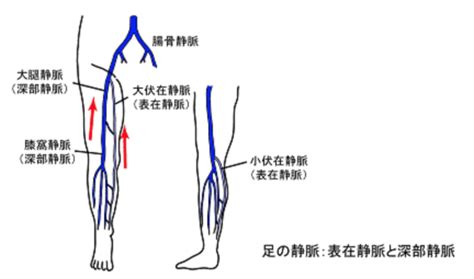 Image result for Algorithm Chart Number