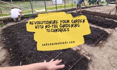 No-Till Gardening Techniques 的图像结果