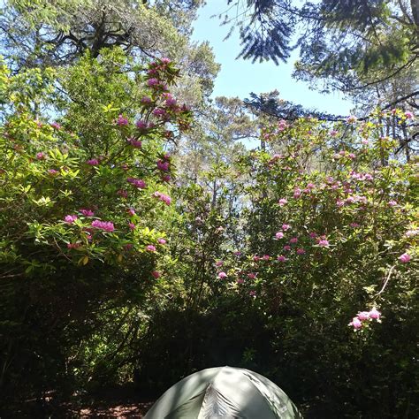 Eel Creek Campground Camping | The Dyrt