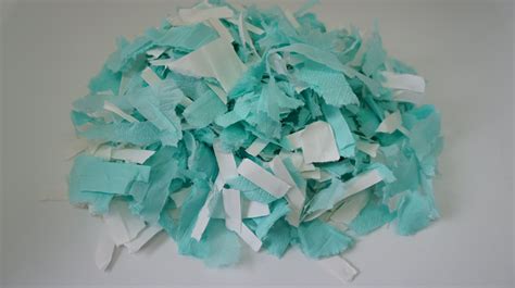 Image result for Seed Papermaking Using Tissues