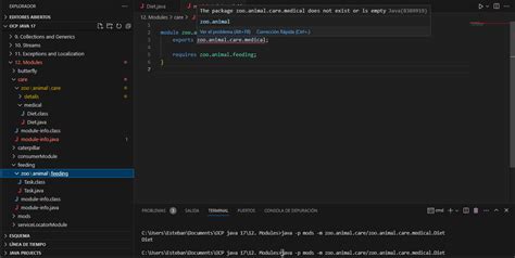 Image result for Not Executable in vs Code Java