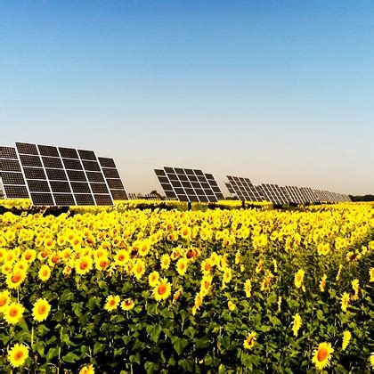 Enphase Energy Bengaluru office | Glassdoor