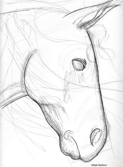 Image result for Basic Sketch Drawing