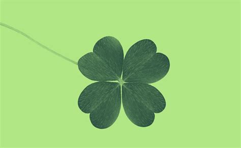 Does Luck Actually Exist? Here's What The Research Said