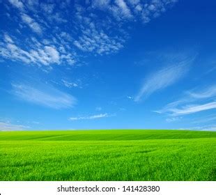 Image result for Python Sky Field