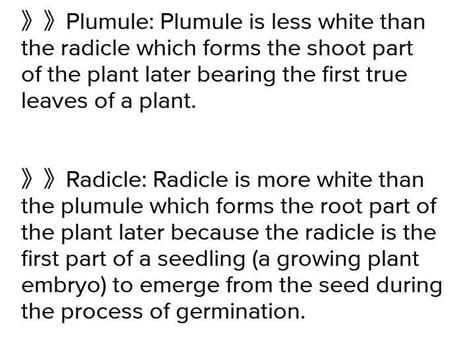 what is the colour of plumule and radicle? - Brainly.in