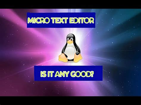 Image result for How to Use Micro Text Editor