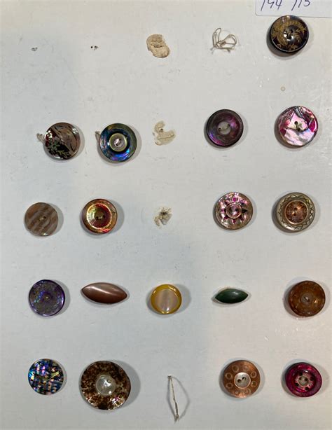 Image result for Deluxe Shell Buttons